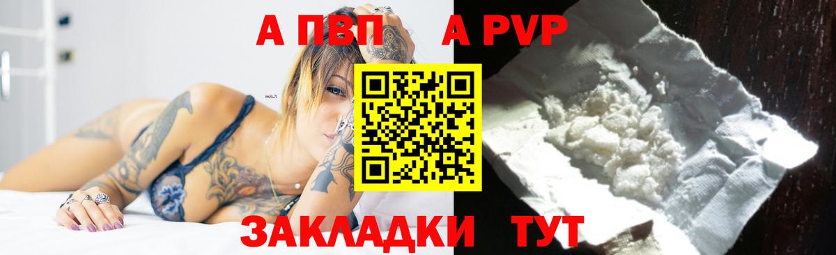Alfa_PVP СК Новороссийск