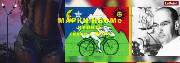 a pvp Новозыбков