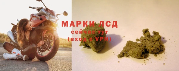 a pvp Новозыбков
