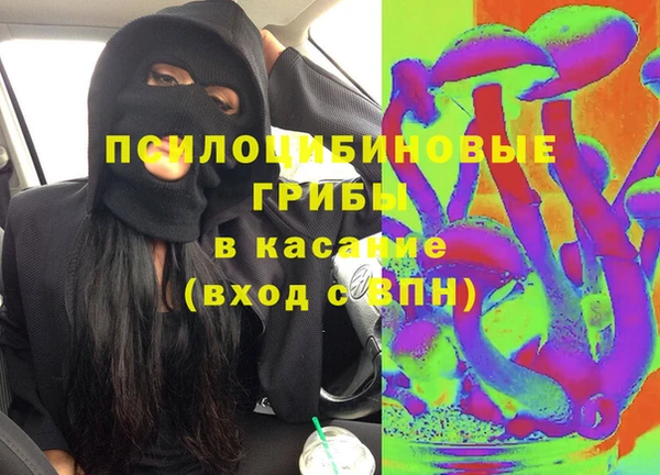 a pvp Новозыбков