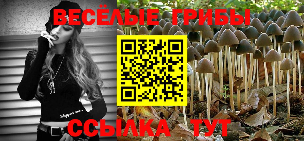 Псилоцибиновые грибы Cubensis  где продают   Новороссийск  Вход с VPN 